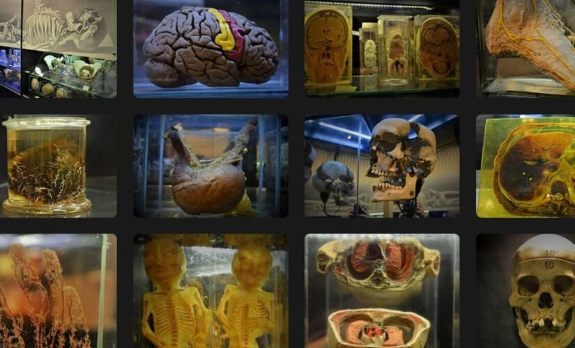4 museus fora do lugar-comum para conhecer na cidade de São Paulo